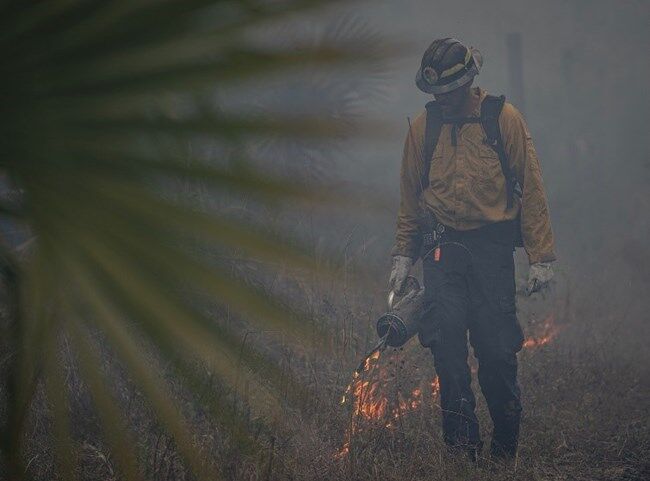 Firefighter uses a drip torch to ignite fire in grass, connecting federal and tribal land